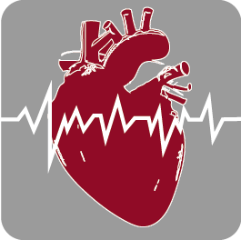 Les pathologies cardio vasculaires